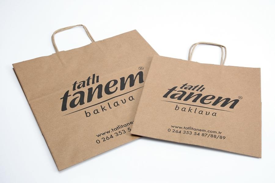 Kraft Brown Twist Handle Paper Party and Gift Carrier Bags With Twisted Handles 